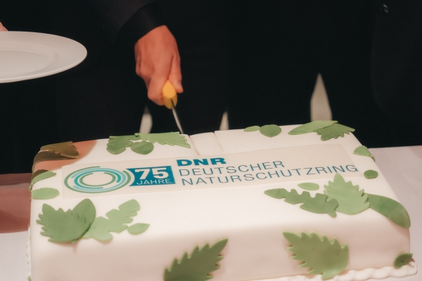 Die "Jubiläumstorte" des DNR zum 75. Geburtstag mit Logo, Aufschrift 75 Jahre Deutscher Naturschutzring und grünen Blättern auf weißem Grund